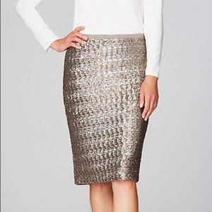 J Jill Sequined Knit Skirt Sterling Size XSP